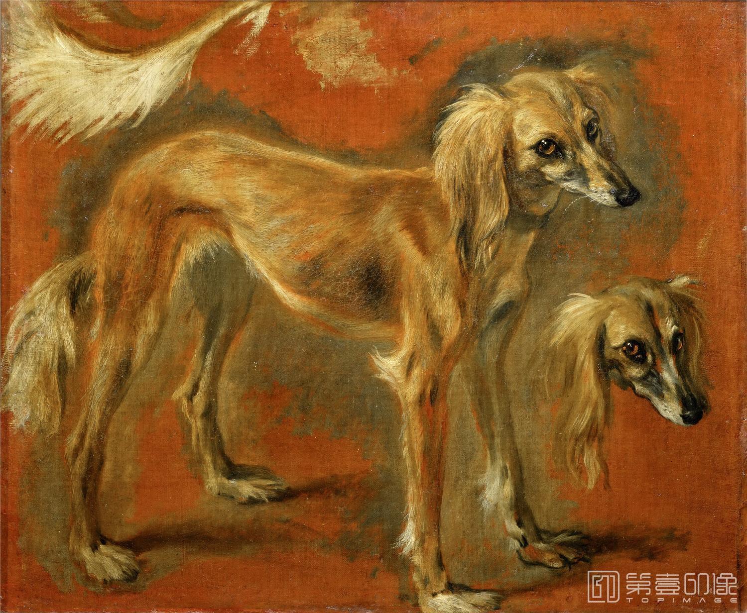 油画-卢浮宫-Pieter Boel (1622-1674)Views of a Greyhound-1557
